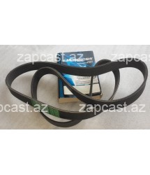 Toyota RAV-4 (XA20) 2001-2005, remen dinamo qısa 